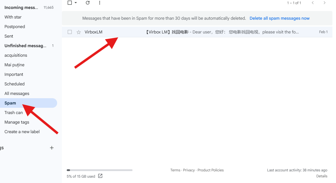 Step 3: Check Spam Folder